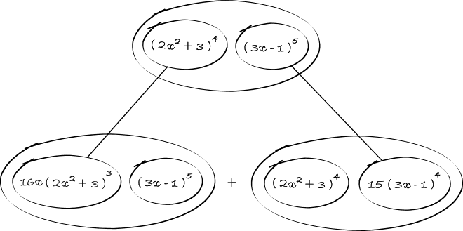 differentiate (2x^2 + 3)^4 (3x - 1)^5